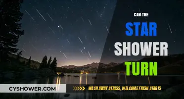 Can the Star Shower Turn Your Night Sky into a Celestial Spectacle?
