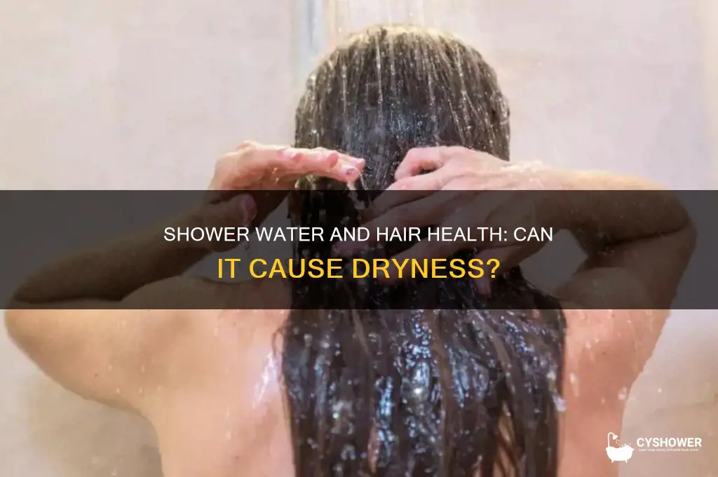 can the water in my shower dry out my hair