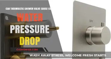 Thermostatic Shower Valve: Culprit Behind Cold Water Pressure Drop?