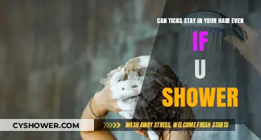 Can Ticks Survive in Your Hair After Showering? Facts Revealed