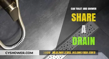 Can Toilet and Shower Share a Drain? Plumbing Insights