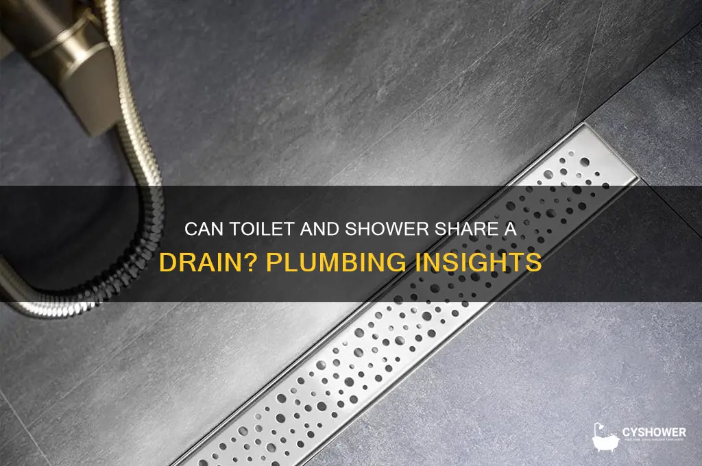 can toilet and shower share a drain