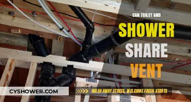 Can Toilets and Showers Share a Vent? Plumbing Insights