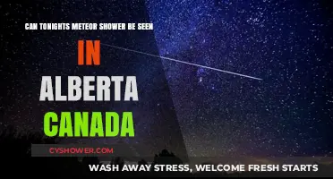 Alberta's Night Sky: Viewing Tonight's Meteor Shower in Canada