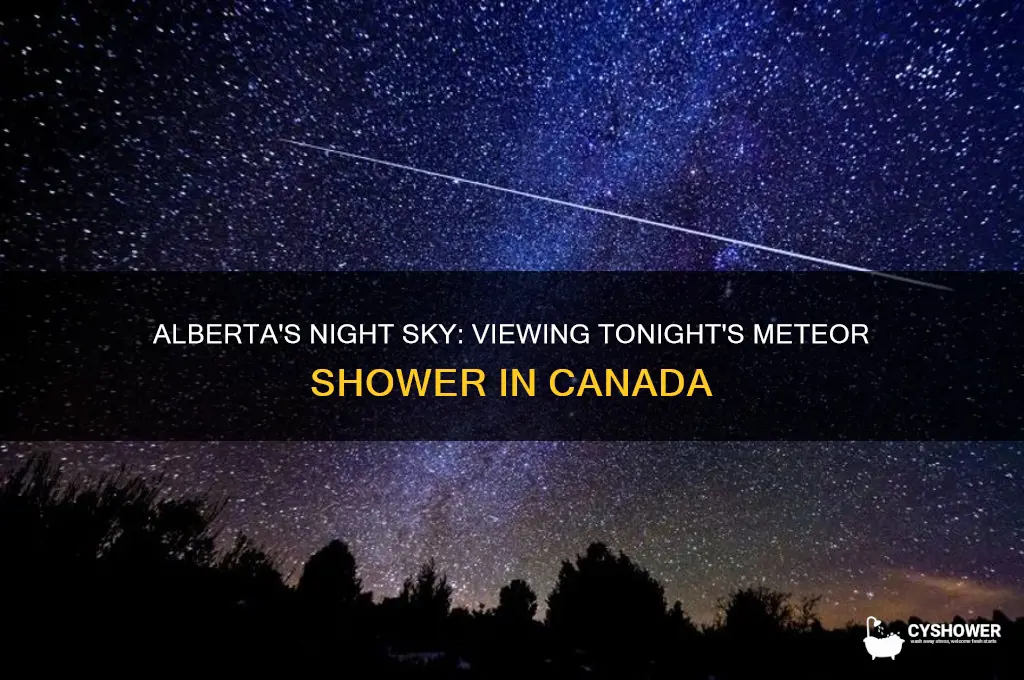 can tonights meteor shower be seen in alberta canada