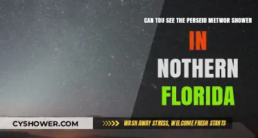 Northern Florida's Perseid Meteor Shower: Visibility Tips and Best Spots