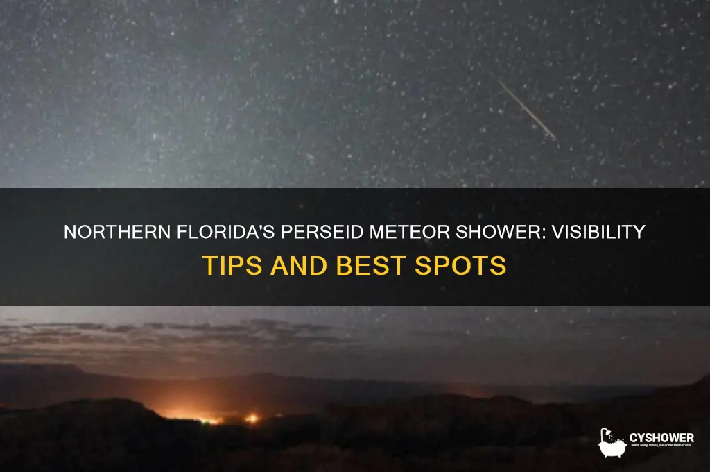 can tou see the perseid metwor shower in nothern florida