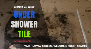 Can Toxic Mold Lurk Beneath Your Shower Tiles? Find Out Now!