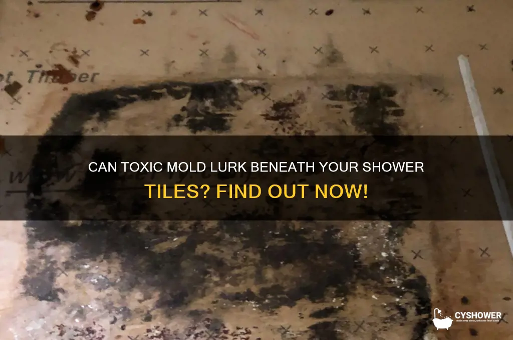 can toxic mold grow under shower tile