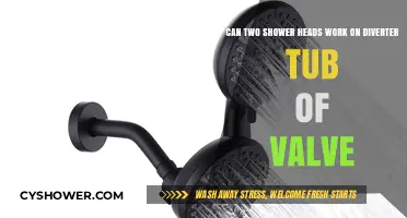 Dual Shower Heads on Diverter Tub Valve: Functionality Explained