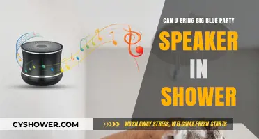 Big Blue Party Speaker in the Shower: Safe or Risky?
