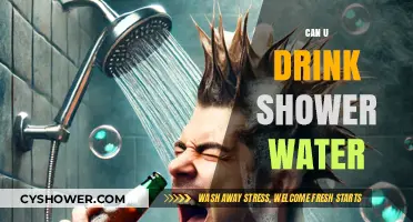 Is Shower Water Safe to Drink? Risks and Alternatives Explained