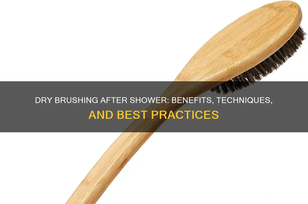 can u dry brush after shower