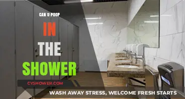 Shower Pooping: Myths, Realities, and Bathroom Etiquette Explained