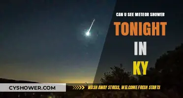 Kentucky Skies Tonight: Meteor Shower Visibility Guide for Stargazers