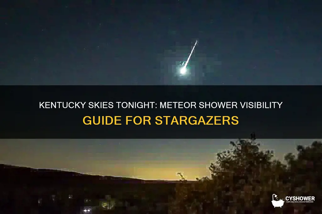 can u see meteor shower tonight in ky