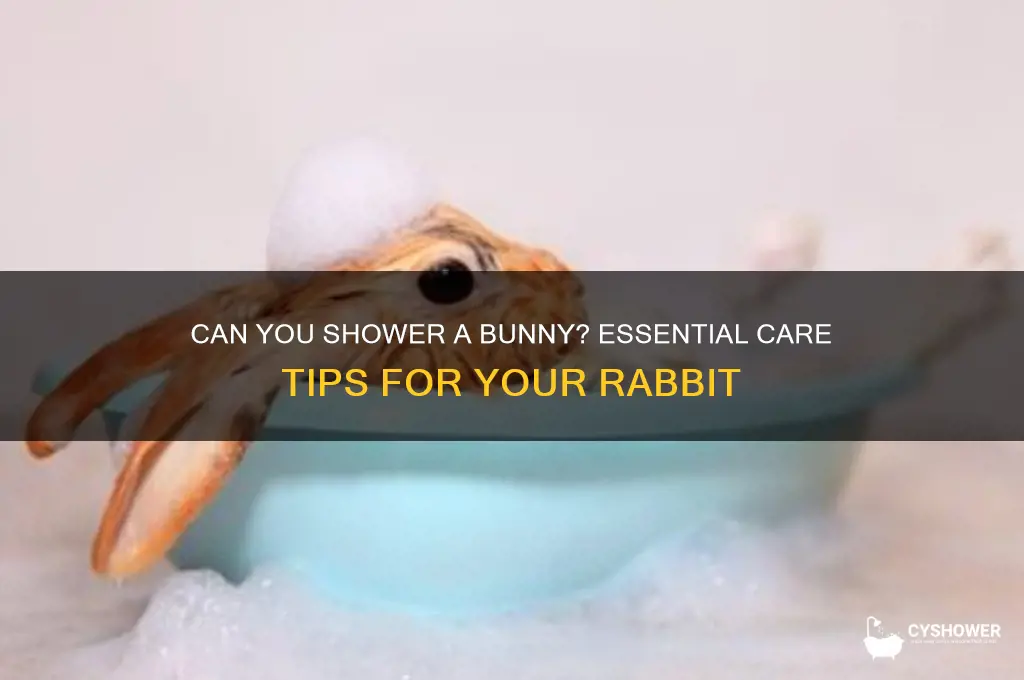 can u shower a bunny