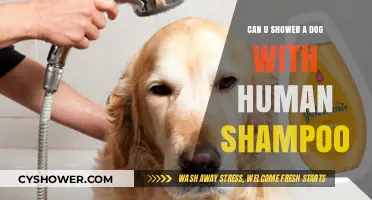 Human Shampoo for Dogs: Safe or Harmful? Expert Advice