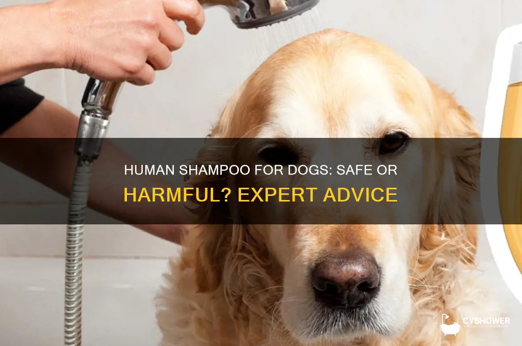 can u shower a dog with human shampoo
