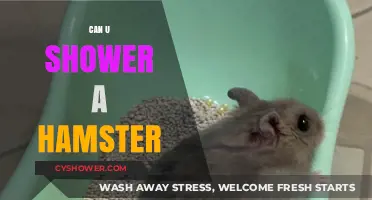 Can You Shower a Hamster? Safe Bathing Tips for Owners