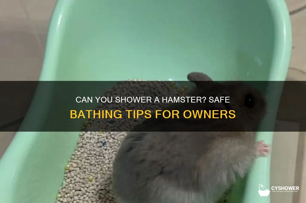 can u shower a hamster
