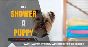 Can You Shower a Puppy? Essential Tips for Bathing Your Pup