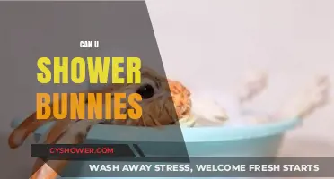 Can You Shower Bunnies? Safe Bathing Tips for Your Pet Rabbit