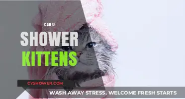 Can You Shower Kittens? Safe Bathing Tips for Tiny Felines