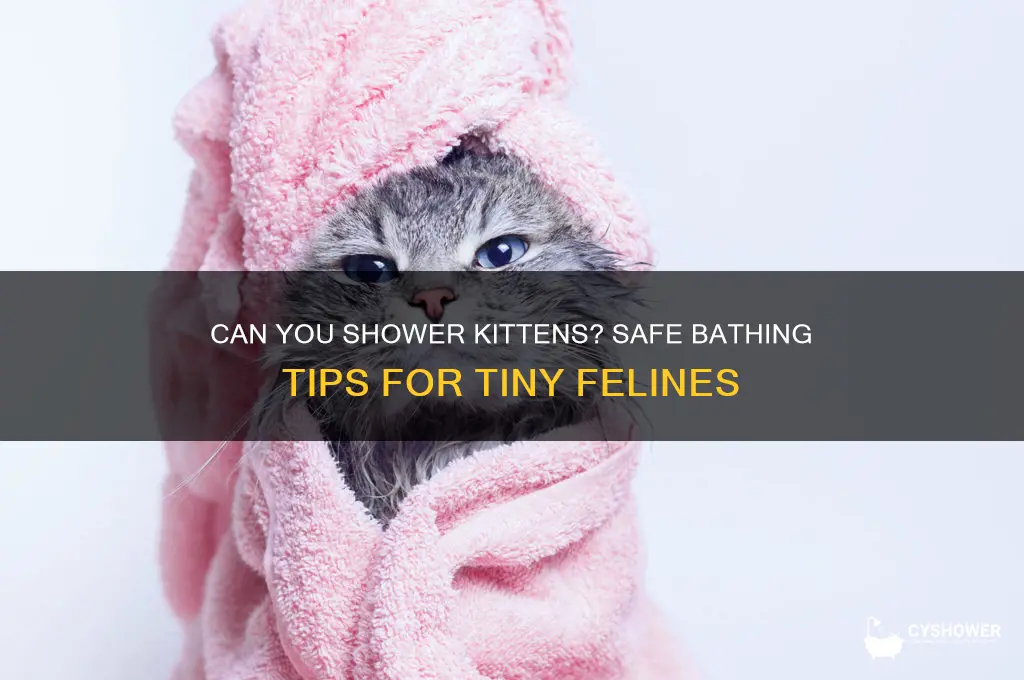 can u shower kittens