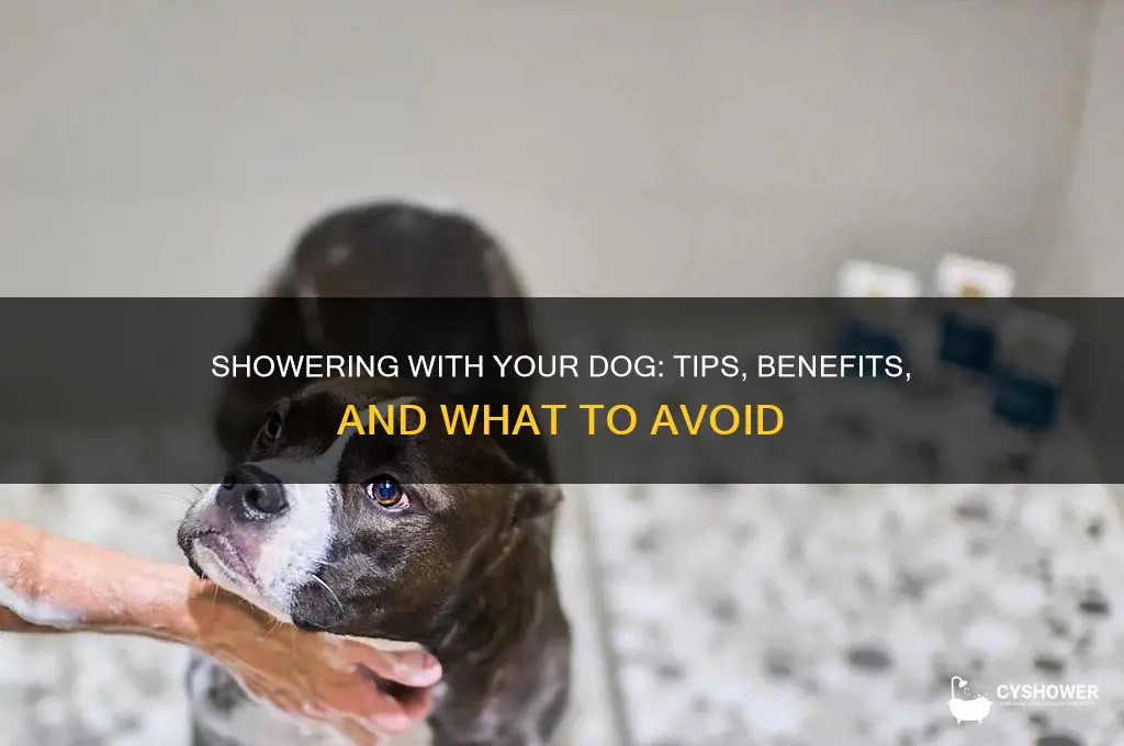 can u shower with your dog