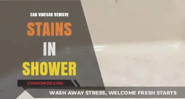 Vinegar's Power: Removing Shower Stains Naturally and Effectively