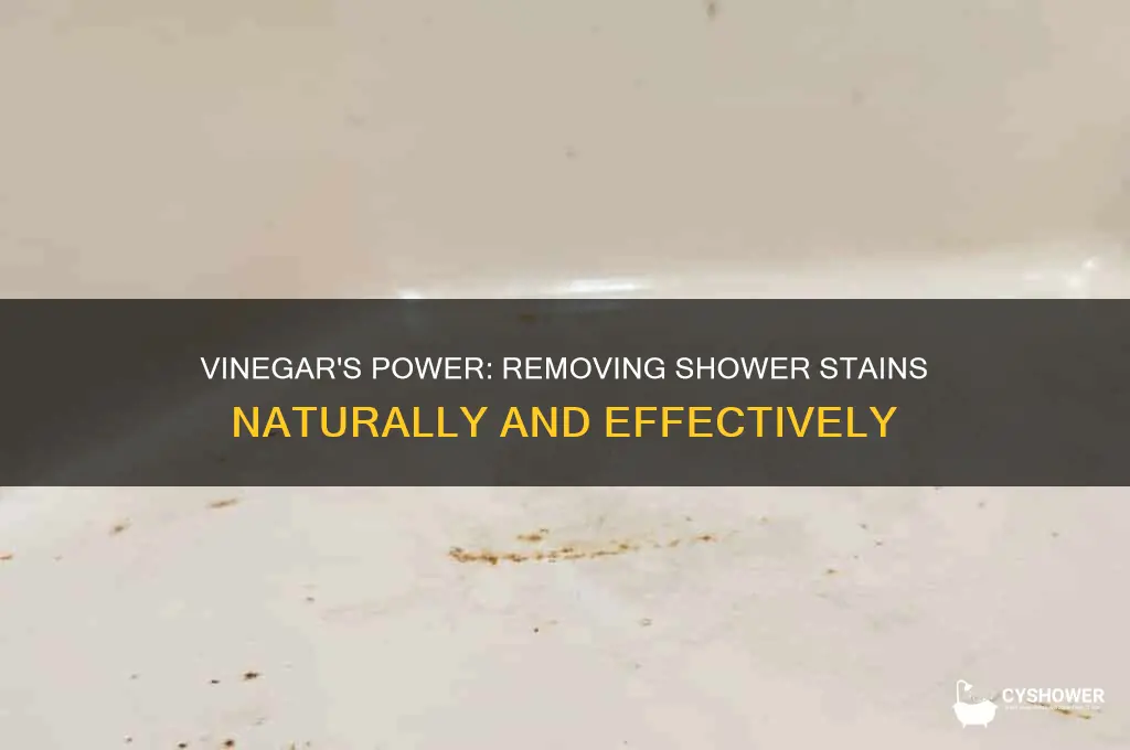 can vinegar remove stains in shower