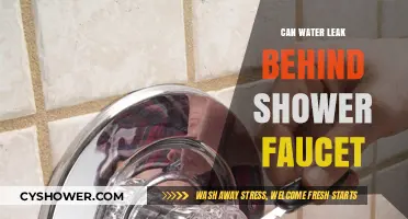 Can Water Leak Behind Shower Faucet? Causes and Solutions