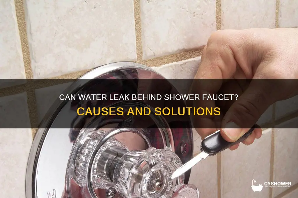 can water leak behind shower faucet