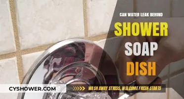 Can Water Leak Behind Your Shower Soap Dish? Find Out Now
