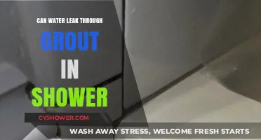 Can Water Leak Through Grout in Your Shower? Find Out Here