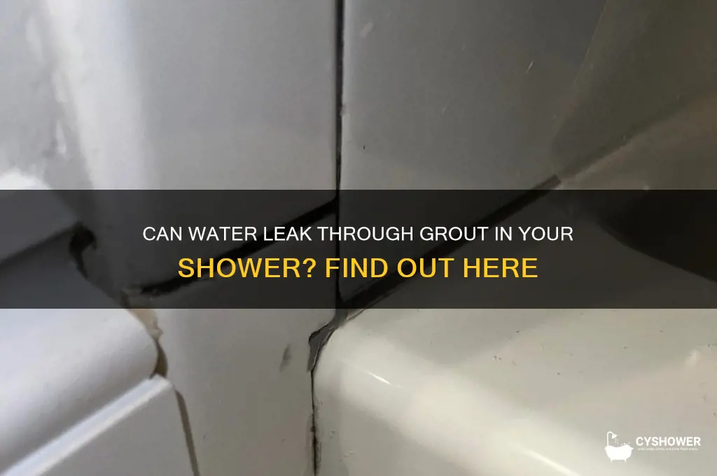 can water leak through grout in shower