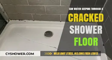 Preventing Water Damage: Addressing Seepage Through Cracked Shower Floors