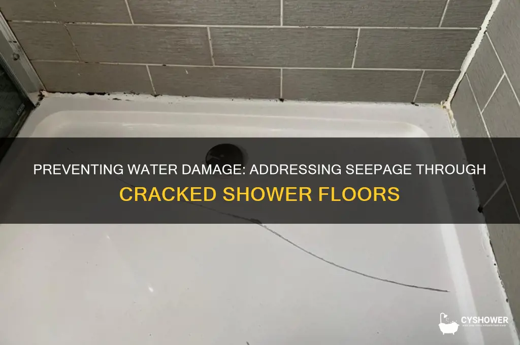 can water seeping through a cracked shower floor