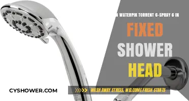 Waterpik Torrent 6-Spray Shower Head: A Comprehensive Review and Guide