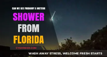 Fridaury's Meteor Shower: Visible from Florida Skies?