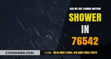 Leonids Meteor Shower Visibility in 76542: What to Expect