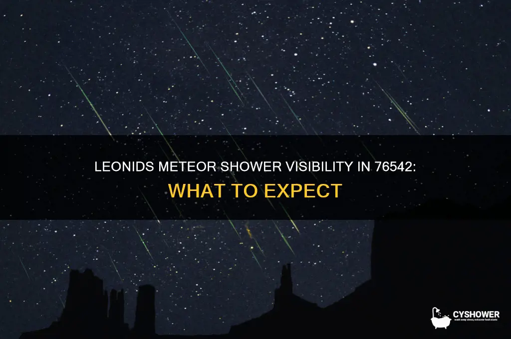 can we see leonids meteor shower in 76542