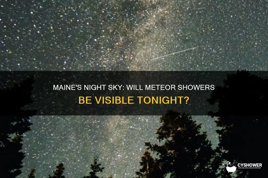 can we see meter shower in maine tonight