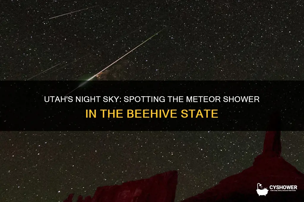 can we see the meteor shower from utah