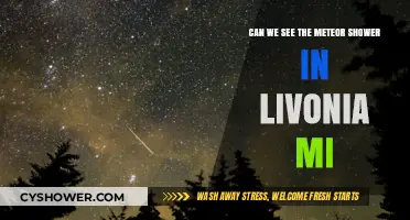Livonia MI Meteor Shower Viewing Guide: Tips and Best Spots