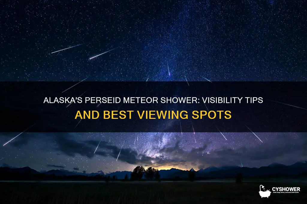 can we see the perseid meteor shower in alaska
