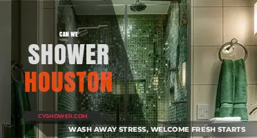 Can We Shower Houston? Exploring Solutions for a Cleaner, Greener City