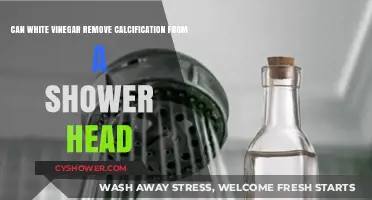 White Vinegar's Power: Removing Shower Head Calcification Effectively