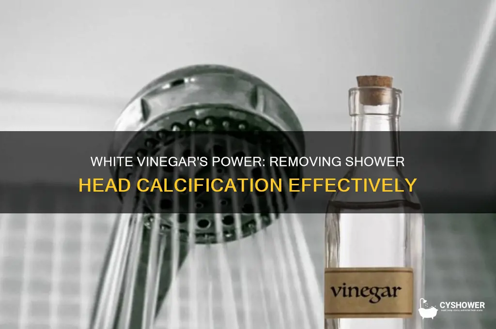 can white vinegar remove calcification from a shower head